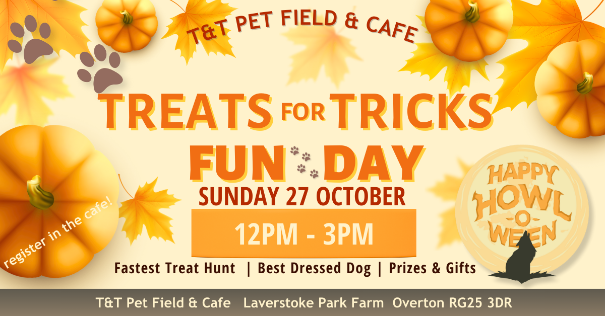 T&T Treats for Tricks Fun Day